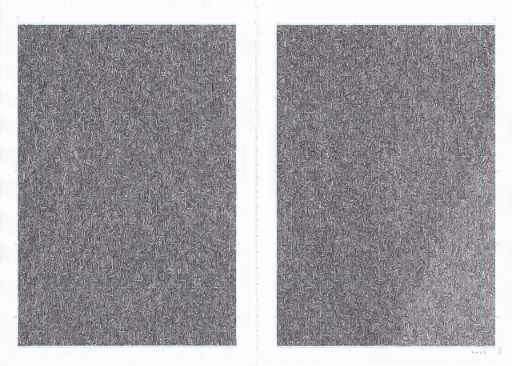 dlnB5D5mm0231